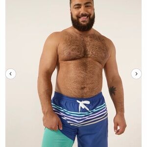 Chubbies Blue and Green Striped Swim Shorts. The Moon Shadows 5.5” Lined Trunks